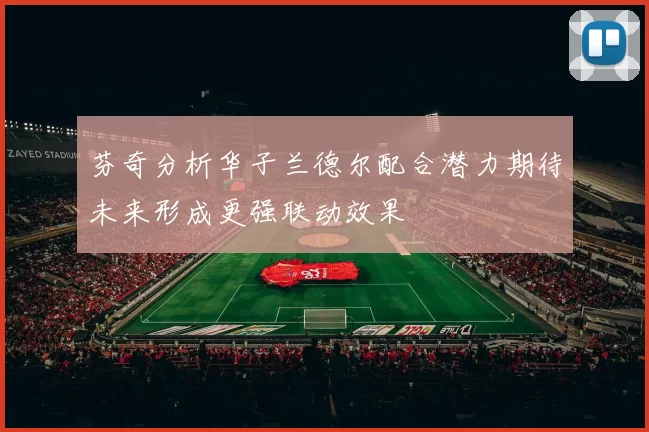 芬奇分析华子兰德尔配合潜力期待未来形成更强联动效果