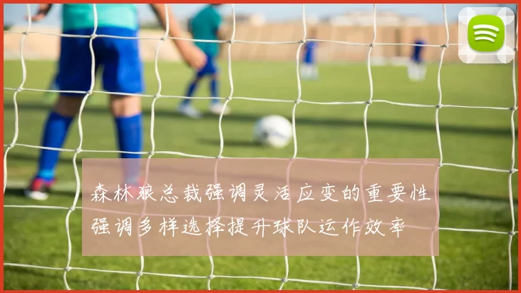 森林狼总裁强调灵活应变的重要性强调多样选择提升球队运作效率