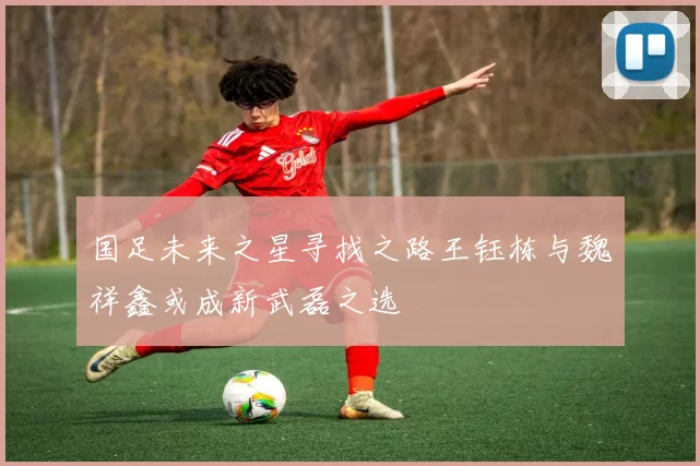 国足未来之星寻找之路王钰栋与魏祥鑫或成新武磊之选
